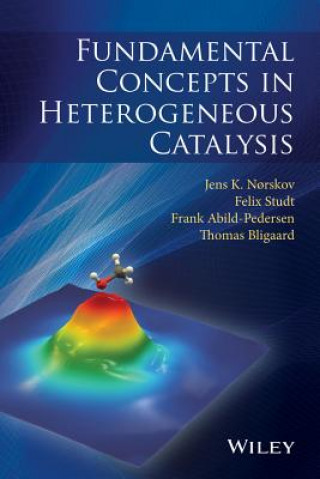 Könyv Fundamental Concepts in Heterogeneous Catalysis Thomas Bligaard