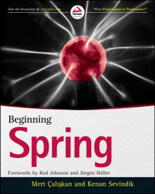 Könyv Beginning Spring Kenan Sevindik