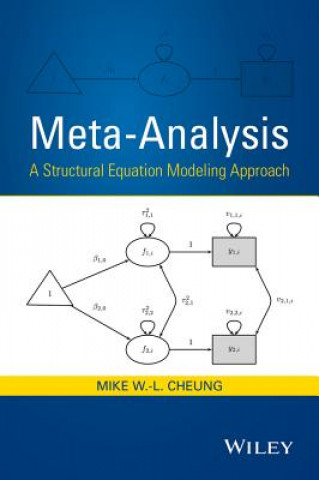 Книга Meta-Analysis - A Structural Equation Modeling Approach Mike Cheung