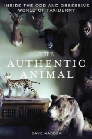 Книга Authentic Animal Dave Madden