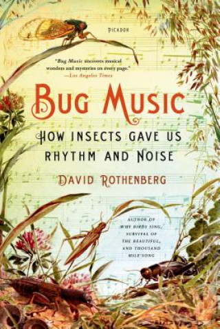 Livre Bug Music David Rothenberg