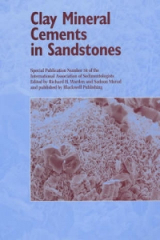 Kniha Clay Mineral Cements in Sandstones - Special Publication 34 of the IAS Richard Worden