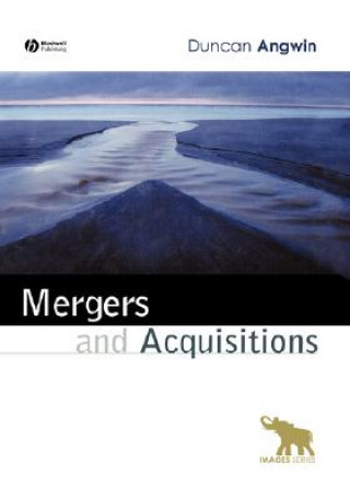Kniha Mergers and Acquisitions Angwin