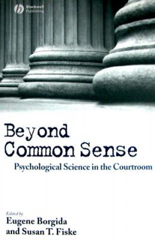 Buch Beyond Common Sense Borgida