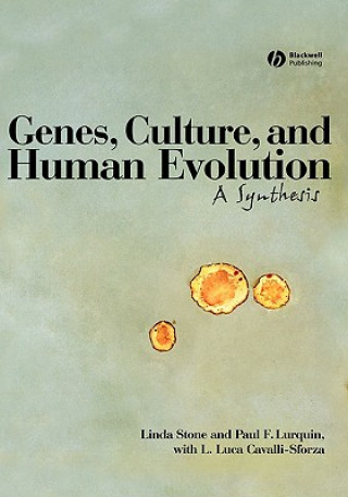 Kniha Genes, Culture, and Human Evolution: A Synthesis Linda Stone