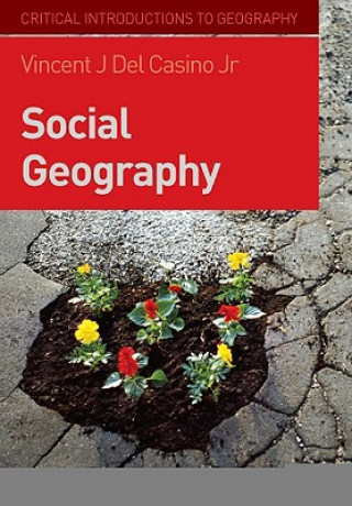 Книга Social Geography Vincent J. Del Casino