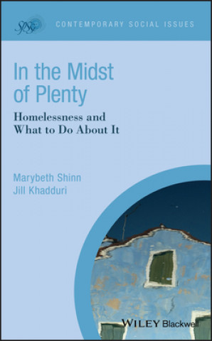 Könyv In the Midst of Plenty Homelessness and What to Do About It Beth Shinn