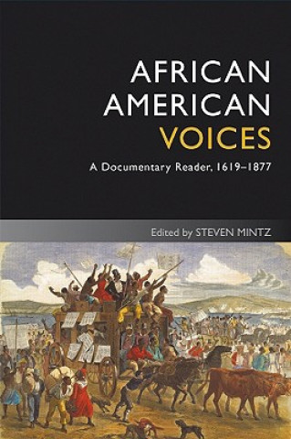 Kniha African American Voices - A Documentary Reader, 1619-1877 4e Mintz