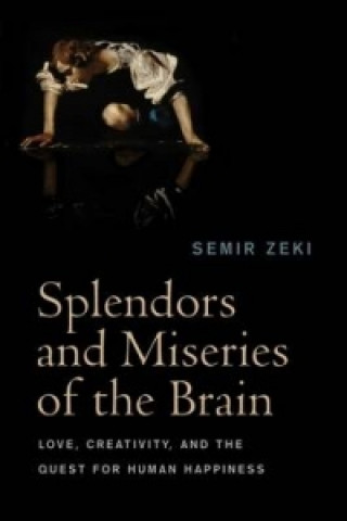 Kniha Splendours and Miseries of the Brain Semir Zeki