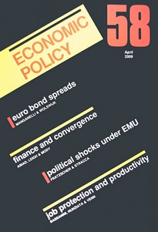 Książka Economic Policy 