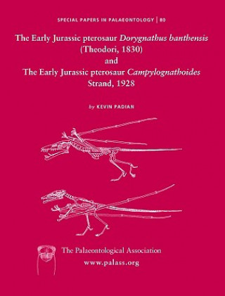 Könyv Early Jurassic pterosaur Dorygnathus banthensis (Theodori, 1830) and The Early Jurassic pterosaur Campylognathoides Strand, 1928 Kevin Padian