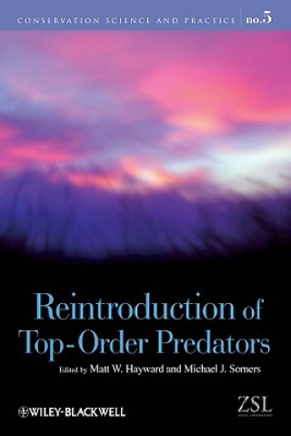 Könyv Reintroduction of Top-Order Predators Matt W. Hayward
