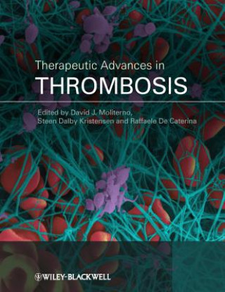 Kniha Therapeutic Advances in Thrombosis David J. Moliterno