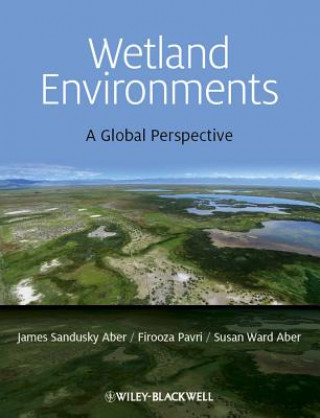 Könyv Wetland Environments - A Global Perspective James S. Aber