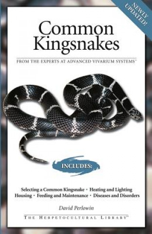 Kniha Common Kingsnakes David Perlowin