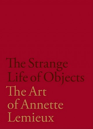 Book Strange Life of Objects Lelia Amalfitano