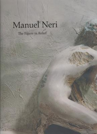 Buch Manuel Neri: the Figure in Relief Bruce Nixon