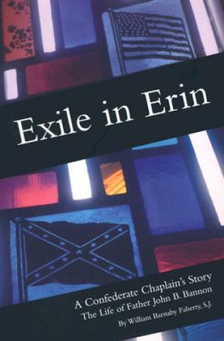 Kniha Exile in Erin William Barnaby Faherty