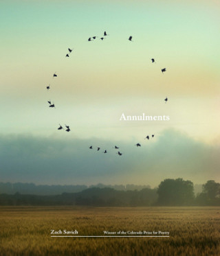 Book Annulments Zach Savich