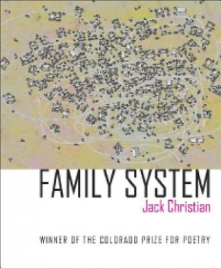 Книга Family System Jack Christian