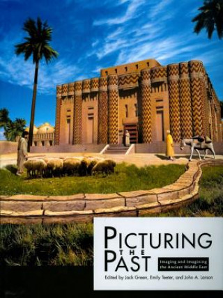 Carte Picturing the Past 