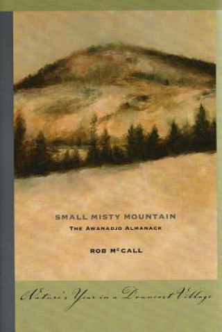 Kniha Small, Misty Mountain Rob McCall