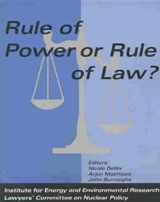 Kniha Rule of Power or Rule of Law? Nicole Deller