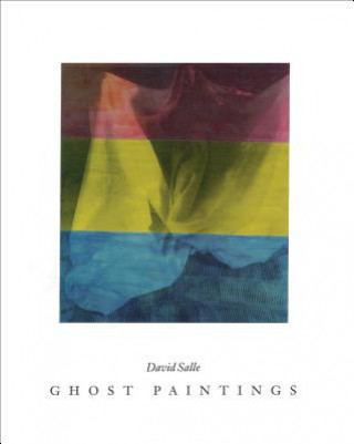Kniha David Salle - Ghost Paintings Janine Mileaf