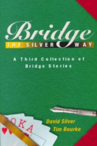 Kniha Bridge the Silver Way David Silver