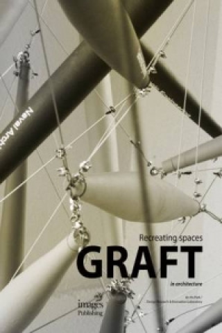 Buch Graft in Architecture: Recreating Spaces Jin-Ho Park