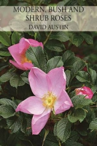 Книга Modern, Bush and Shrub Roses David Austin