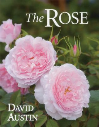Książka Rose David Austin