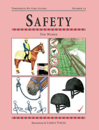 Kniha Safety Toni Webber