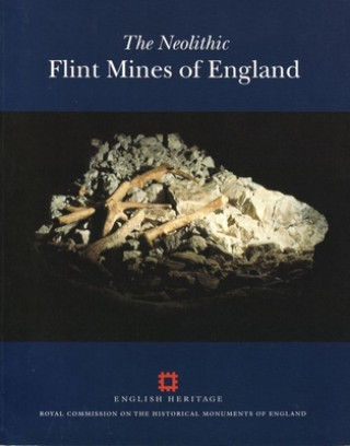 Könyv Neolithic Flint Mines in England Peter Topping