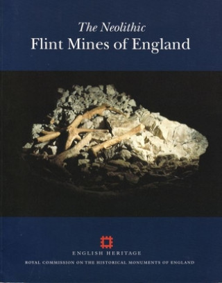 Book Neolithic Flint Mines in England Peter Topping