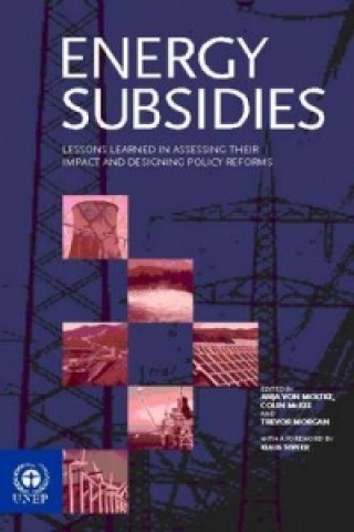 Carte Energy Subsidies 