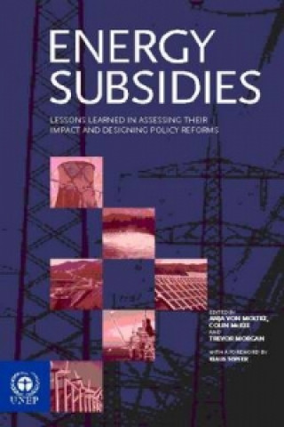 Knjiga Energy Subsidies 