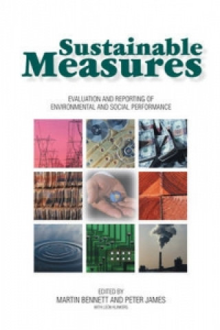 Kniha Sustainable Measures 