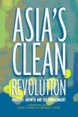 Könyv Asia's Clean Revolution 