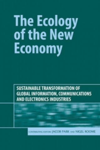 Könyv Ecology of the New Economy Jacob Park
