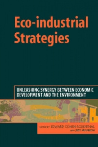 Kniha Eco-industrial Strategies 