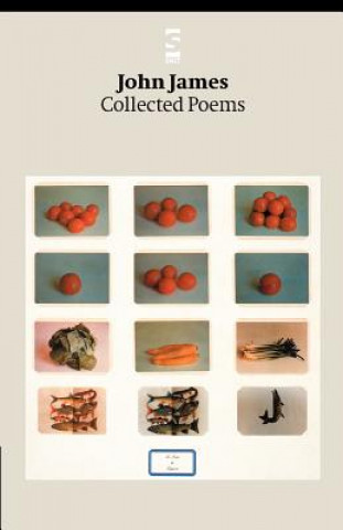 Kniha Collected Poems John James