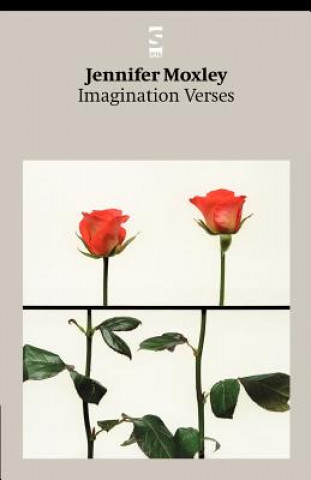 Könyv Imagination Verses Jennifer Moxley