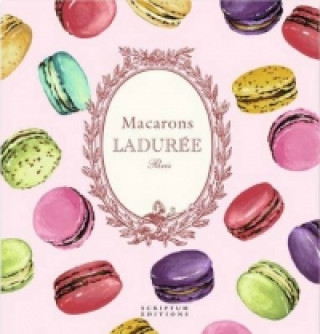Könyv Macarons: The Recipes Vincent Lemains