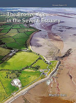 Kniha Bronze Age in the Severn Estuary Martin Bell