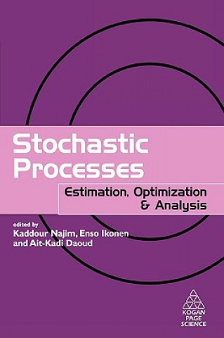 Kniha Stochastic Processes Kaddour Najim