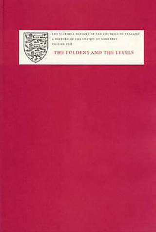 Kniha History of the County of Somerset R. W. Dunning