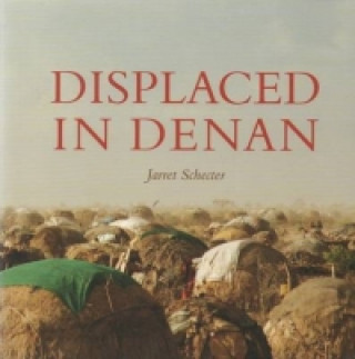 Kniha Displaced in Denan Jarret Schecter