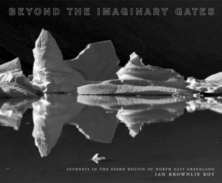 Könyv Beyond the Imaginary Gates Iain Roy