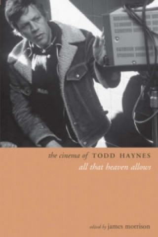 Kniha Cinema of Todd Haynes James Morrison